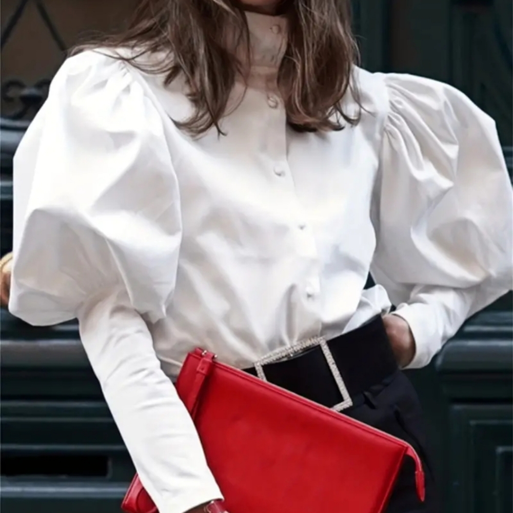 Edwardian Victorian Top NWOT